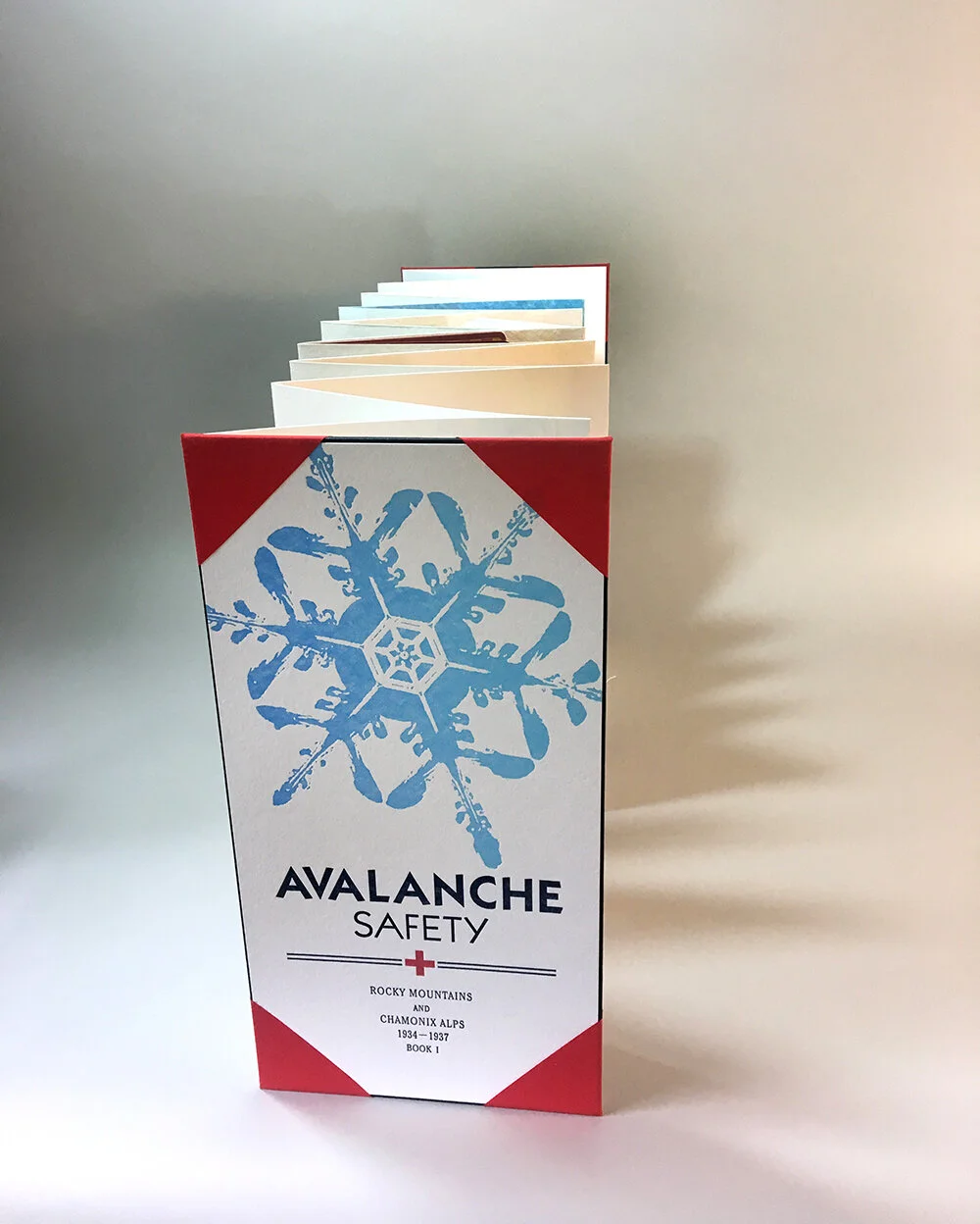 Avalanche Safety Book I — Casey gardner